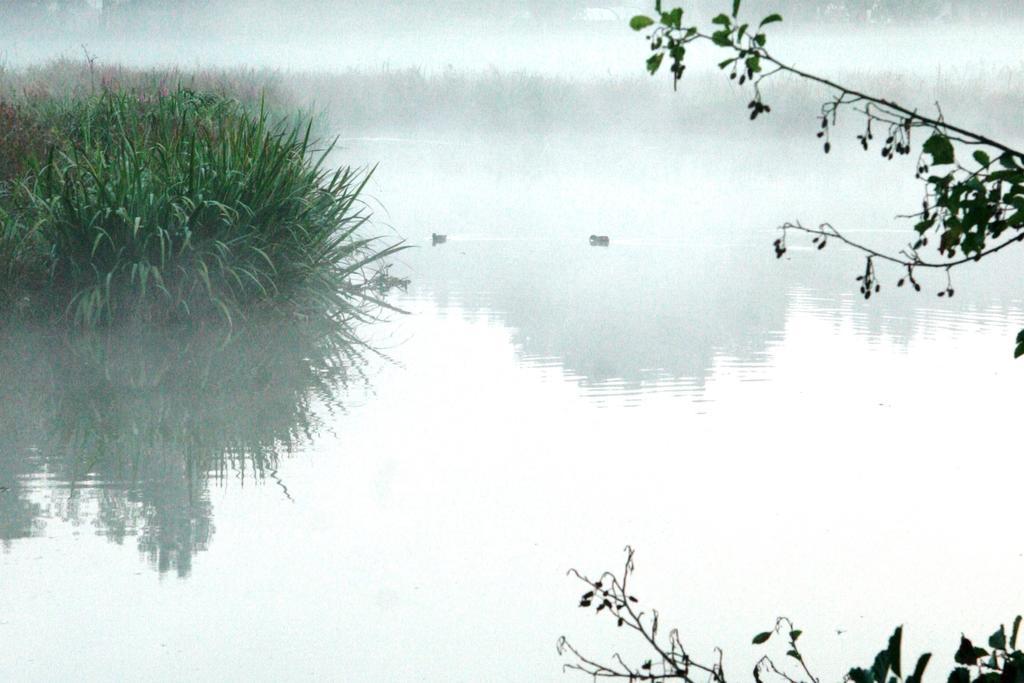 Gites Chambres D'Hotes Entre Terre & Mer Souvigny-en-Sologne Bagian luar foto